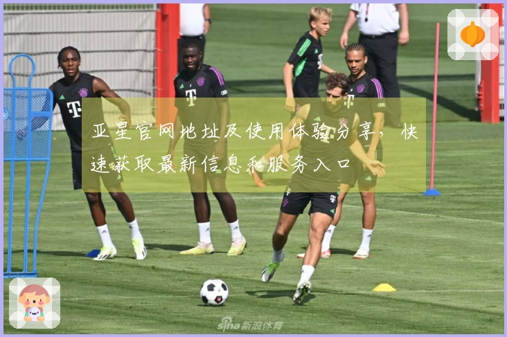 亚星官网地址及使用体验分享，快速获取最新信息和服务入口